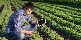 애플리케이션 라만 분광기 in 농업 모니터링 및 식품 안전